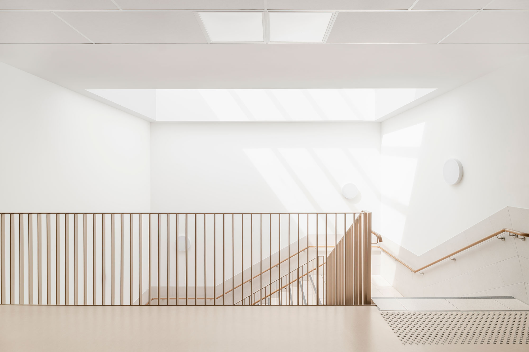 Lichtdurchflutetes Treppenhaus der neu errichteten Grundschule Mühlenberg mit weißen Wänden, einem großen Oberlicht, das lineare Sonnenstrahlen in den Raum wirft, sowie hellen Holzhandläufen und einem filigranen vertikalen Metallgeländer entlang des Treppenabgangs.